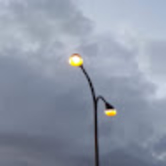 Meet your Posher, Nubia - Picture 1 of 1